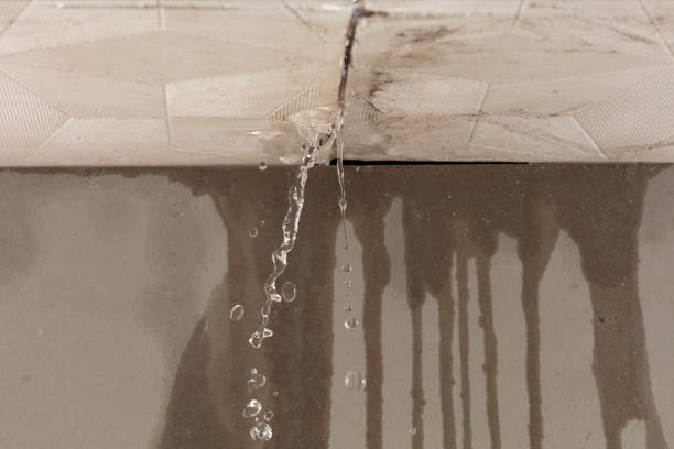 Professional Water Damage Inspection technician working in Belle Valley, OH